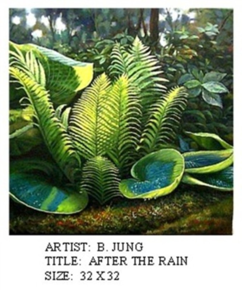 B. Jung - After The Rain border=